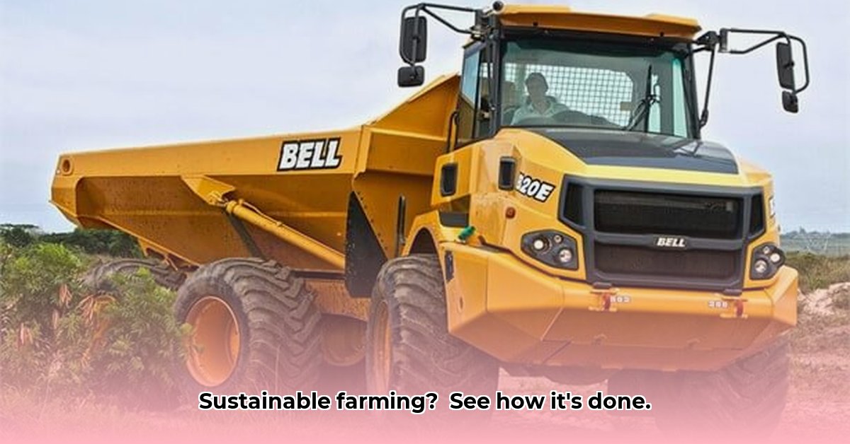 progressive-tractor-bunkie